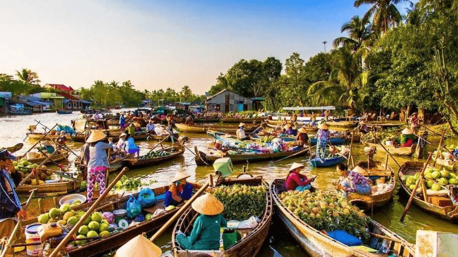 Trải nghiệm ở Vĩnh Long từ TP.HCM vô cùng dễ dàng với xe tiện chuyến 